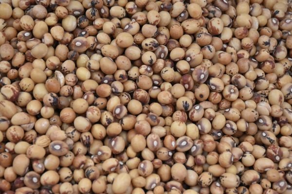 2kg Cow beans